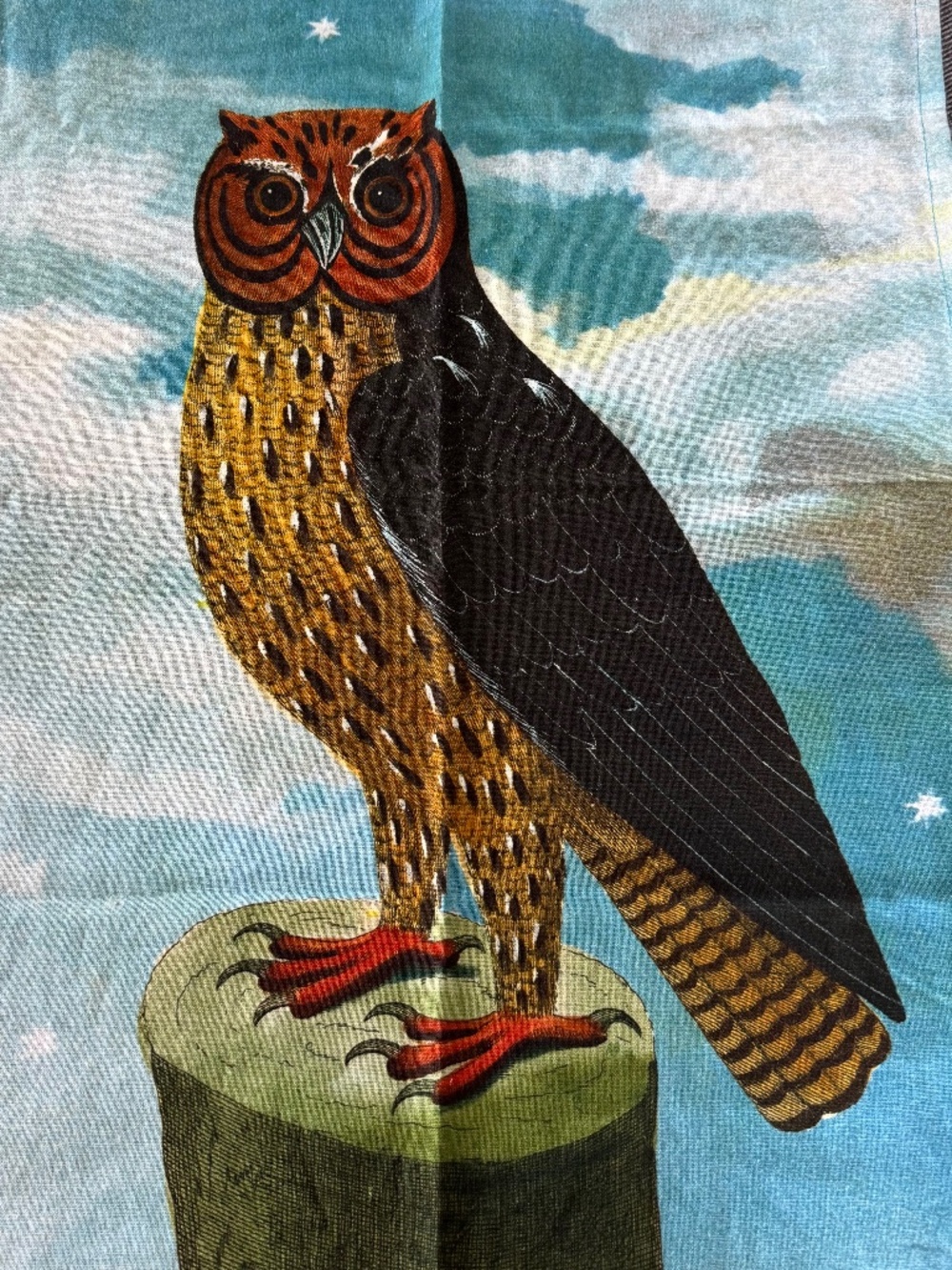 NWOT, JOHN DERIAN FOR THRESHOLD, OWL TEA TOWEL